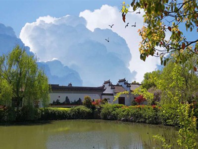 涵境园艺震撼来袭！江南山水园林意境引爆品牌传播，成就极致自然美学！