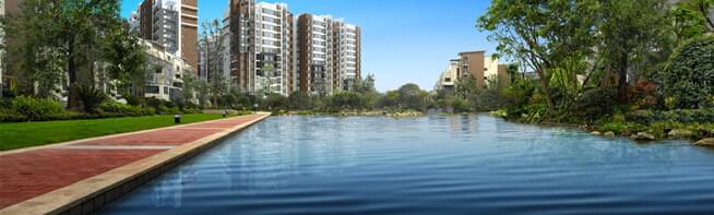 水景园林绿化设计：打造宁静绿色空间，提升生活品质！