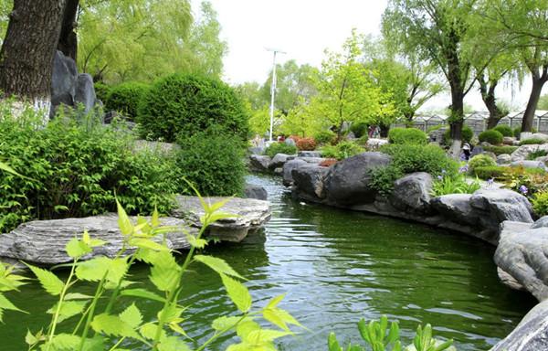 水景园林绿化设计：打造宁静绿色空间，提升生活品质！