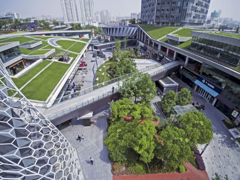 resized-8.jpg resized-8.jpg