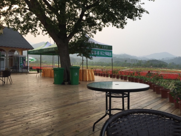 “欧式风格花海景区:罗浮山自然环境与浪漫花卉景观的完美融合” resized-微信图片_20251128120115_657_39.jpg