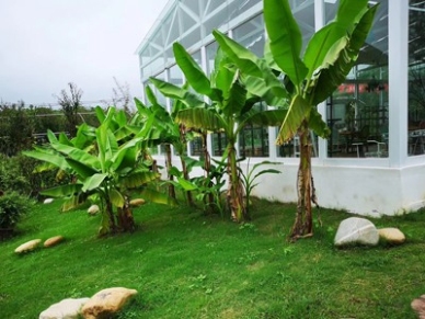 景观设计的艺术与自然完美碰撞!打造城市与自然共生的绿色奇迹! resized-微信图片_20251128140150_677_39.jpg