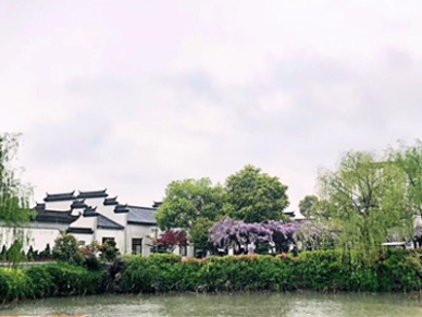 江南园林震撼揭示!自然与人文的诗意交融,涵境园艺的设计传承! 江南园林震撼揭示!自然与人文的诗意交融,涵境园艺的设计传承!