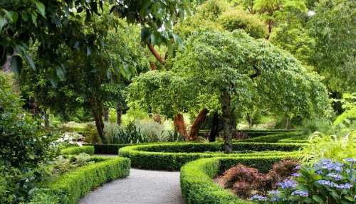 水景园艺震撼来袭！涵境园艺打造梦幻水景空间，私家庭院与商业空间完美融合！