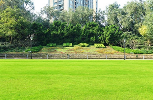 建筑与自然完美融合!某现代文体中心景观绿化工程,打造未来城市新地标! resized-微信图片_20251128144644_724_39.jpg