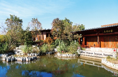 震撼曝光!涵境园艺打造最美城市湿地生态园林!生态与美景共舞! resized-微信图片_20251128144644_726_39.jpg