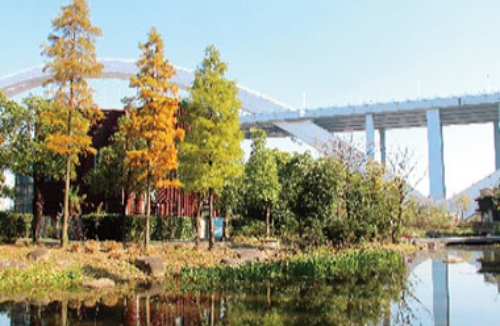 震撼曝光!涵境园艺打造最美城市湿地生态园林!生态与美景共舞! resized-微信图片_20251128144644_727_39.jpg