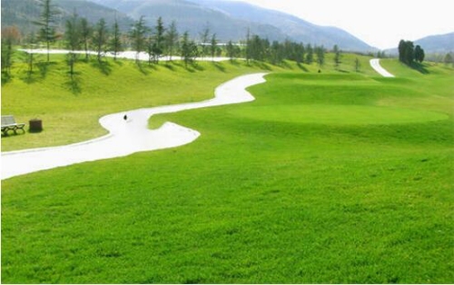 震撼都市!涵境园艺打造“绿肺+艺术花境”完美融合,城市新地标火爆登场! resized-微信图片_20251128144644_728_39.jpg