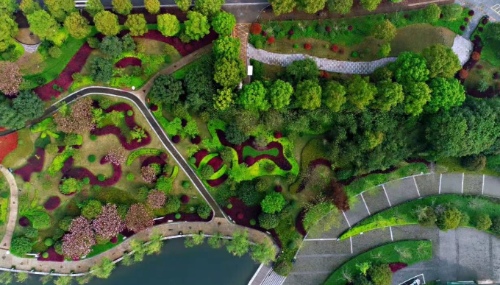 禅意中式庭院震撼登场!涵境园艺打造最具文化韵味的休闲空间! resized-微信图片_20251128144735_735_39.jpg