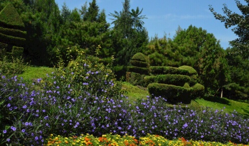 工业美学与自然园艺完美融合!跨江大桥周边绿地打造城市新地标! resized-微信图片_20251128144802_739_39.jpg