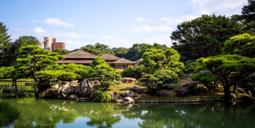 “绿化苗木栽植与管理方法:提高苗木质量和数量的实用技术” resized-微信图片_20251128144821_740_39.jpg