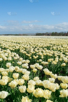 resized-微信图片_20251217111053_1594_39.jpg resized-微信图片_20251217111053_1594_39.jpg